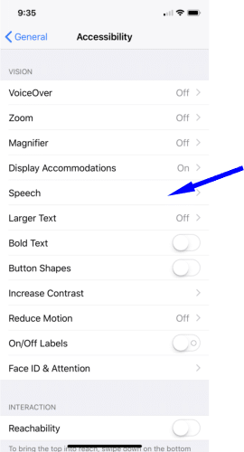 iPhone disability functions
